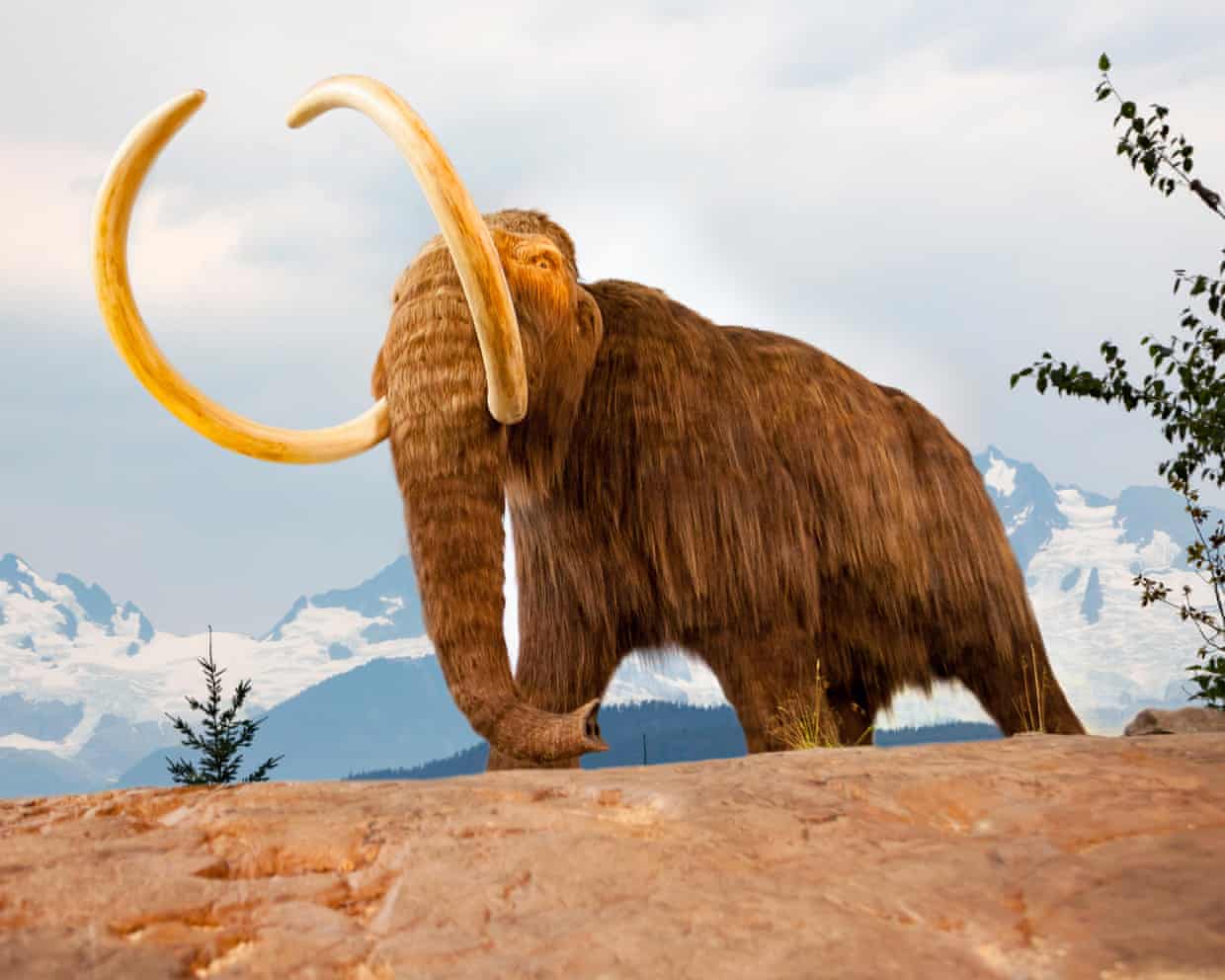 Scientists Uncover Ancient Life Through Innovative DNA Techniques