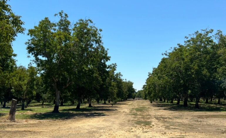 Solano Land Trust Secures $654K Grant for Vital Land Conservation