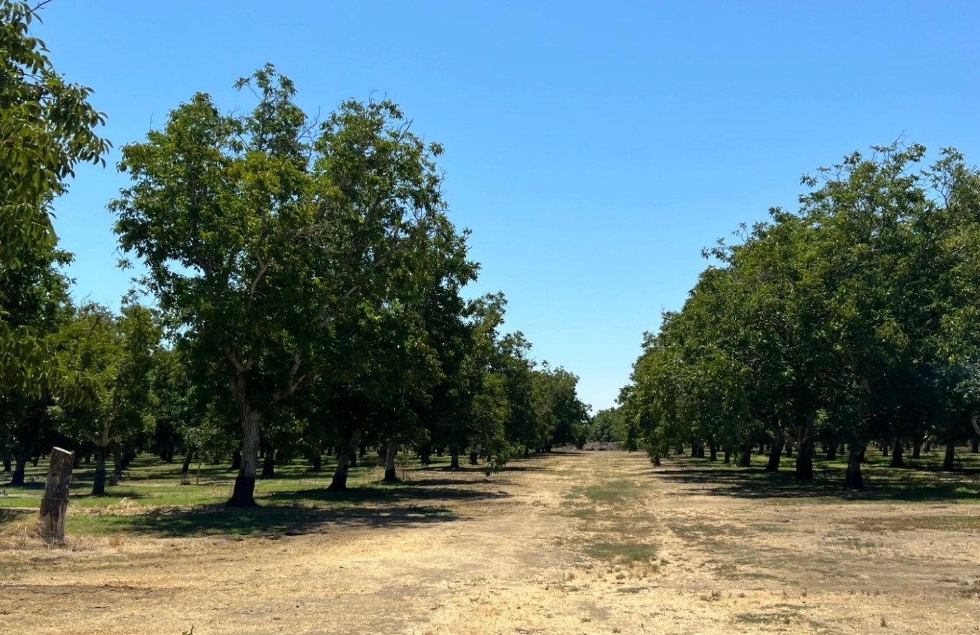 Solano Land Trust Secures $654K Grant for Vital Land Conservation