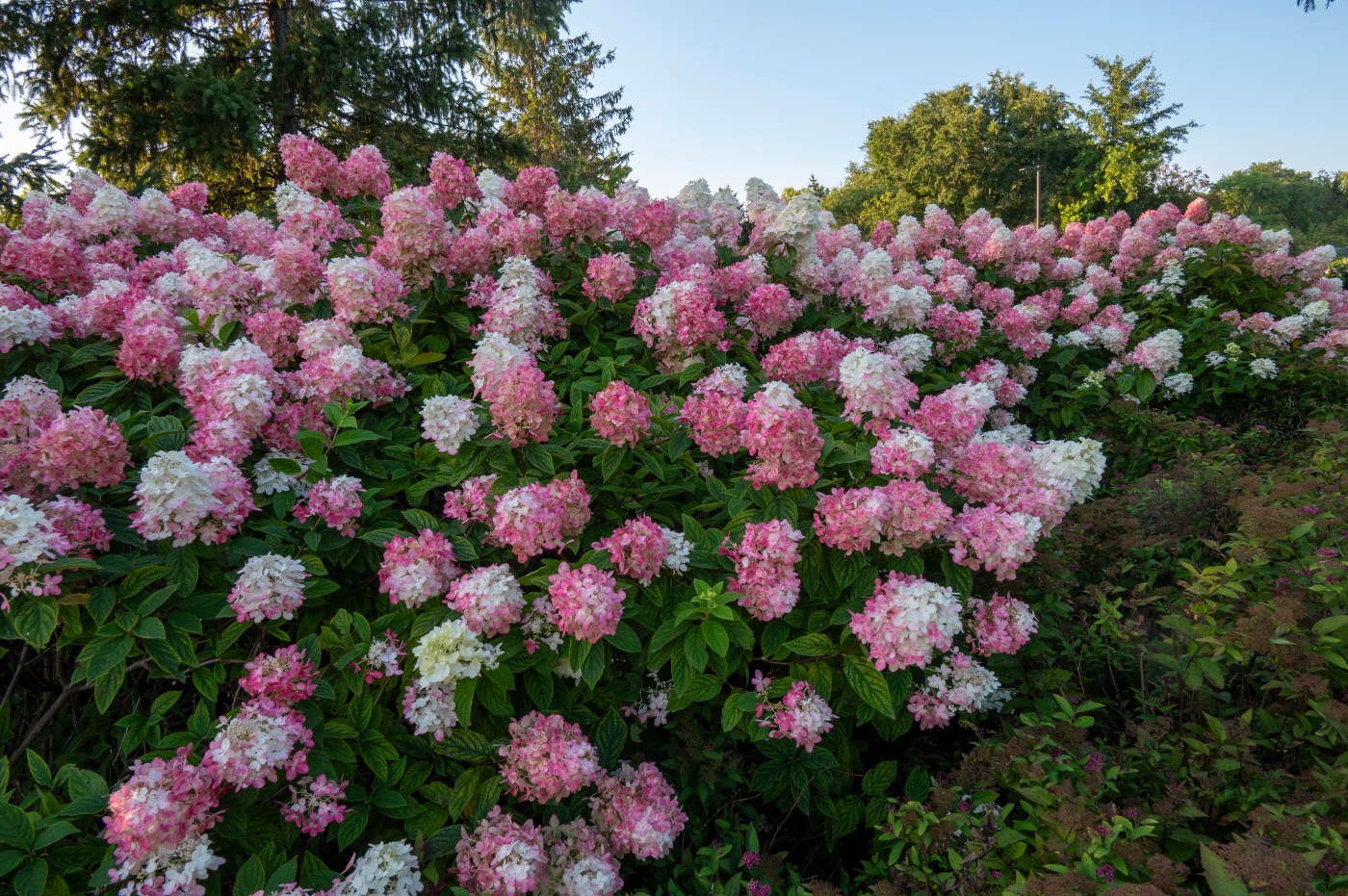 Sprinkler Systems Boost Garden Care, But Monitoring is Key