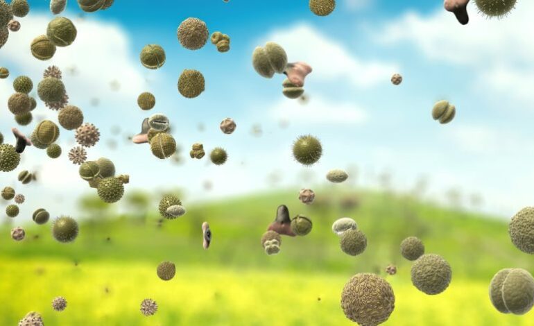 Study Links Seasonal Allergies to Increased Suicide Risk