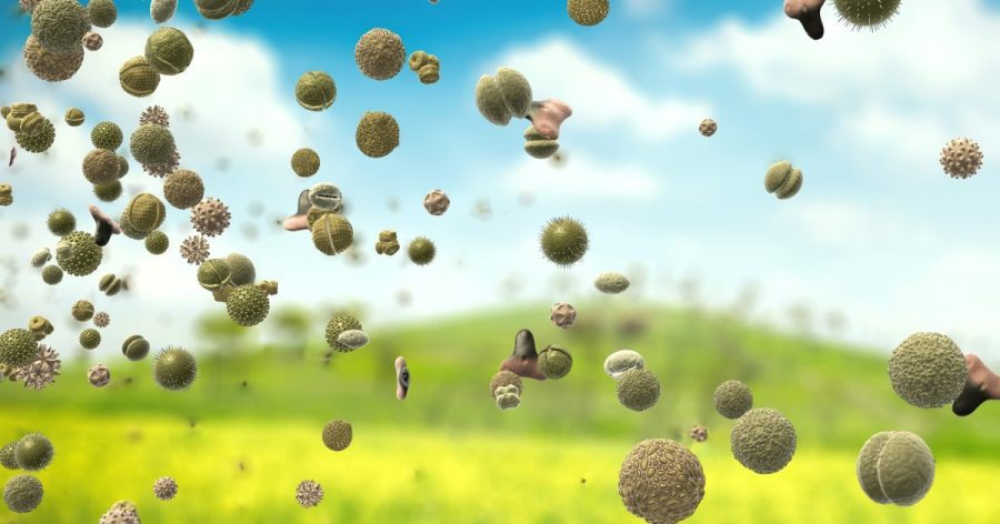 Study Links Seasonal Allergies to Increased Suicide Risk