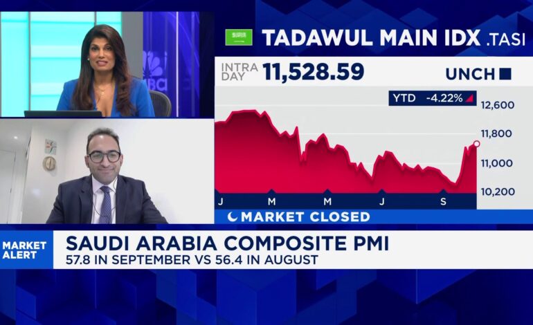 TS Lombard Analyzes Gulf PMI Data and Economic Diversification