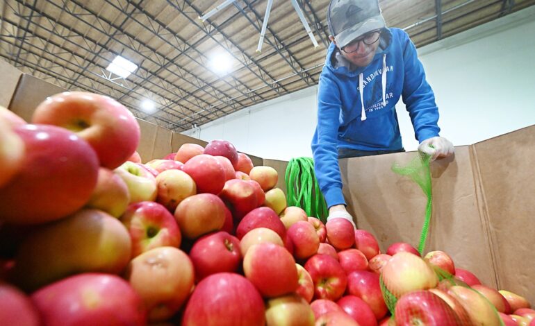 Urgent Alert: Food Bank Faces Shutdown Fallout, Community Needs Help Now