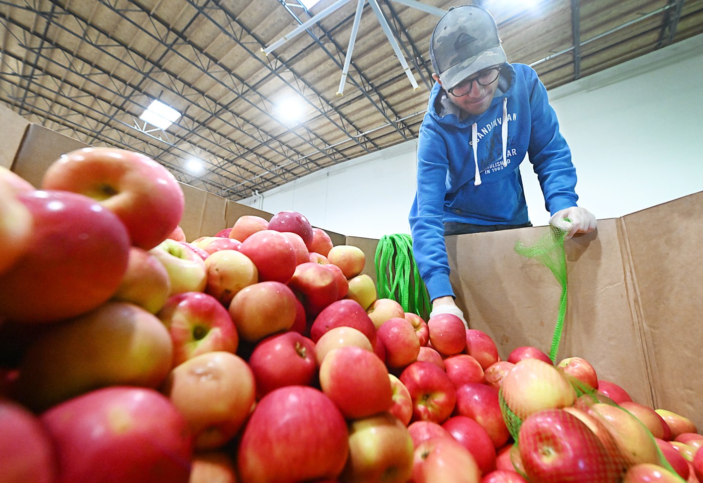 Urgent Alert: Food Bank Faces Shutdown Fallout, Community Needs Help Now