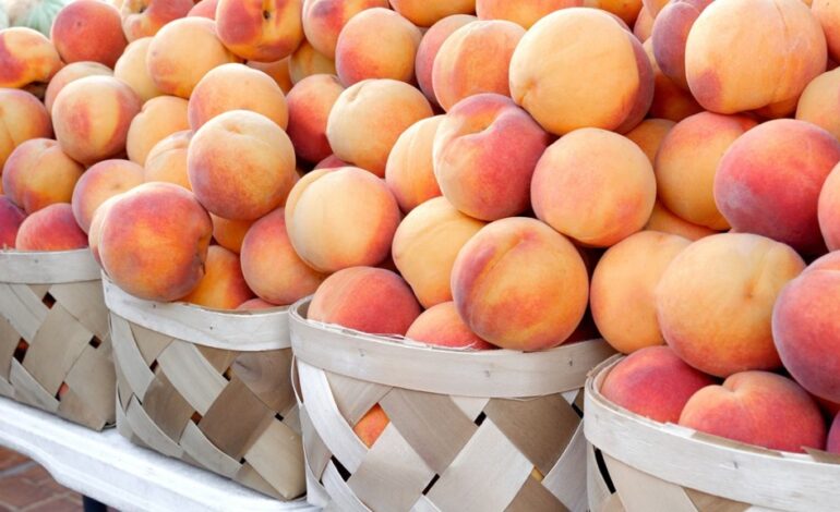 Urgent Recall: Peaches Nationwide Linked to Potential Listeria Contamination