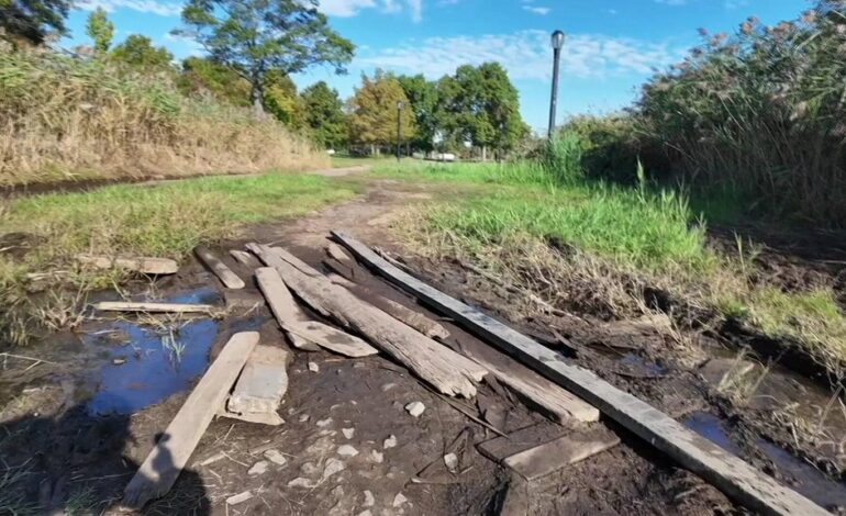 Urgent Report: Flushing Meadows Park Infrastructure Failing Now
