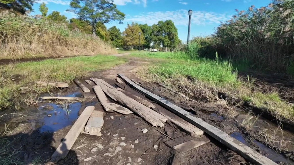 Urgent Report: Flushing Meadows Park Infrastructure Failing Now