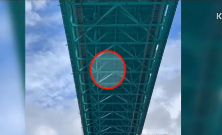 Urgent: Rope-Free Bungee Jumping Launch at World’s Tallest Bridge