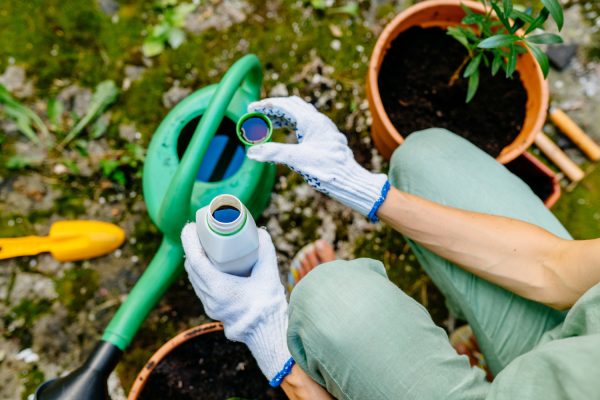 Urgent Update: Prep Your Garden This Fall for Spring Bloom