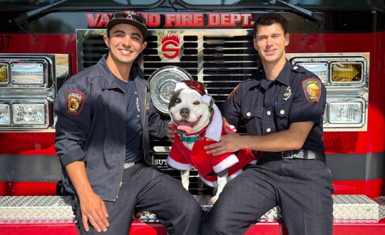 Vallejo Firefighters Launch Urgent Fundraising Calendar for Pets