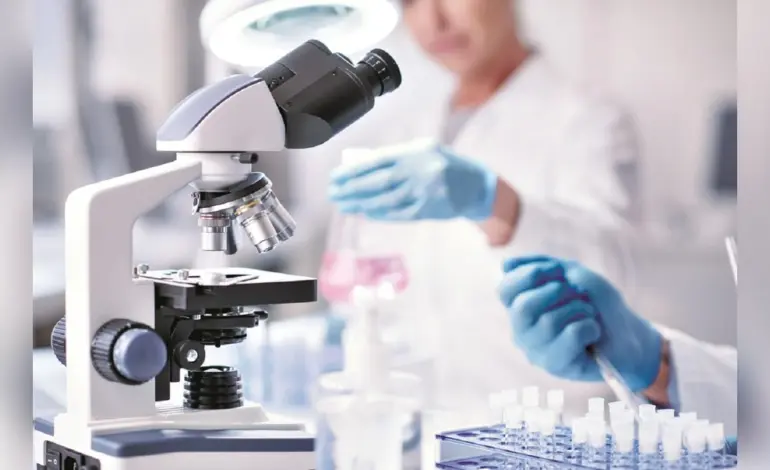 WHO Highlights Rising Threat of Drug-Resistant Bacteria