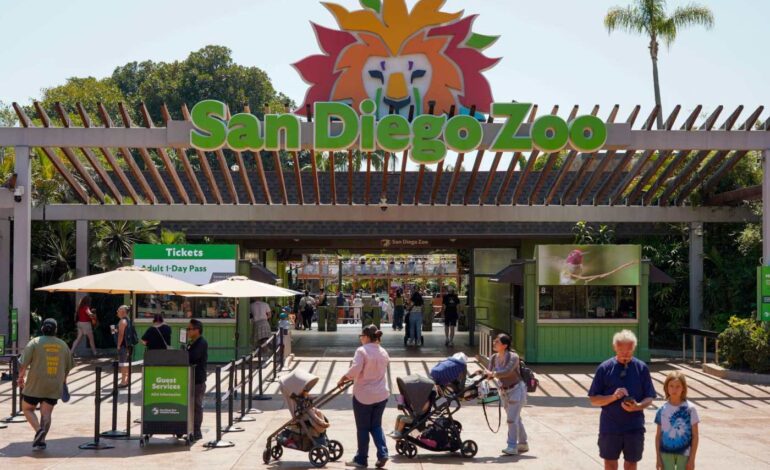 141-Year-Old Gramma the Tortoise Dies at San Diego Zoo