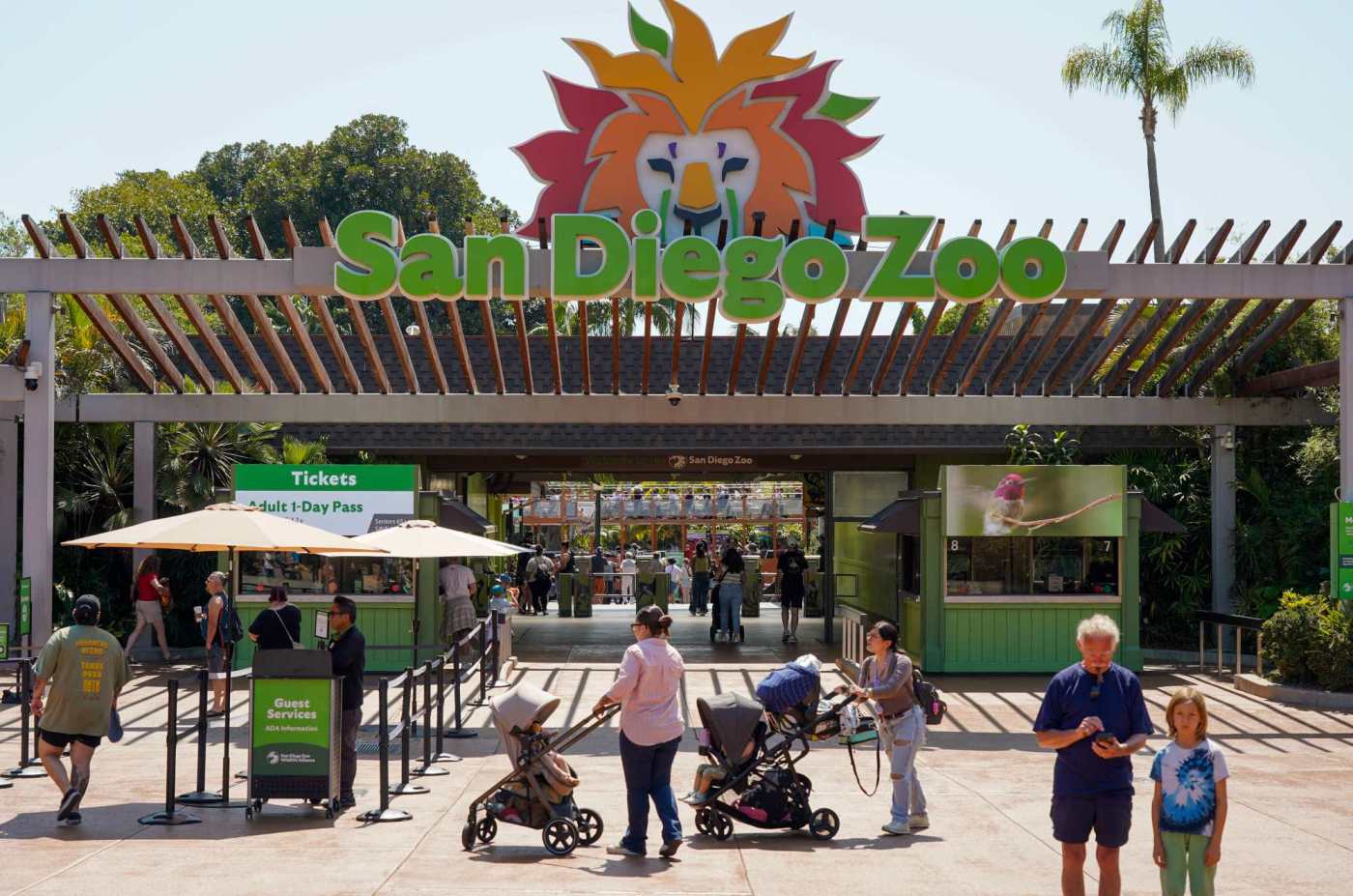 141-Year-Old Gramma the Tortoise Dies at San Diego Zoo