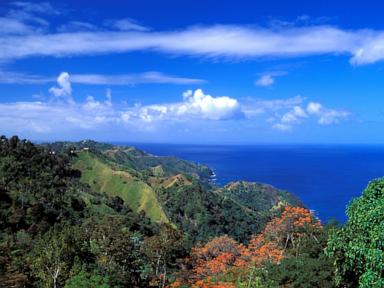 American Man Fatally Stabbed in Tobago; Investigation Underway