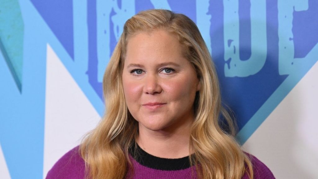 Amy Schumer Deletes All Instagram Posts, Shares Bold New Look