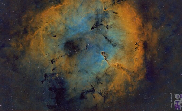 Astrophotographer Terry Hancock Captures Stunning Elephant Trunk Nebula