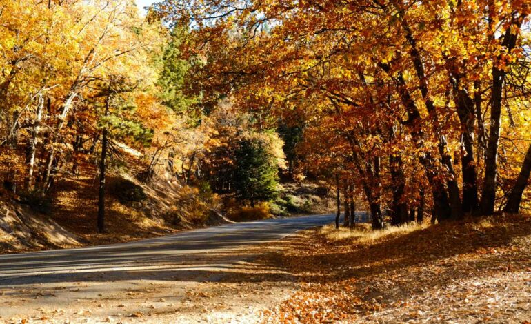 Autumn Magic Peaks in San Bernardino Mountains Right Now