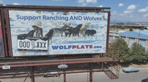 Colorado’s ‘Born to Be Wild’ Plates Raise $1 Million for Ranchers
