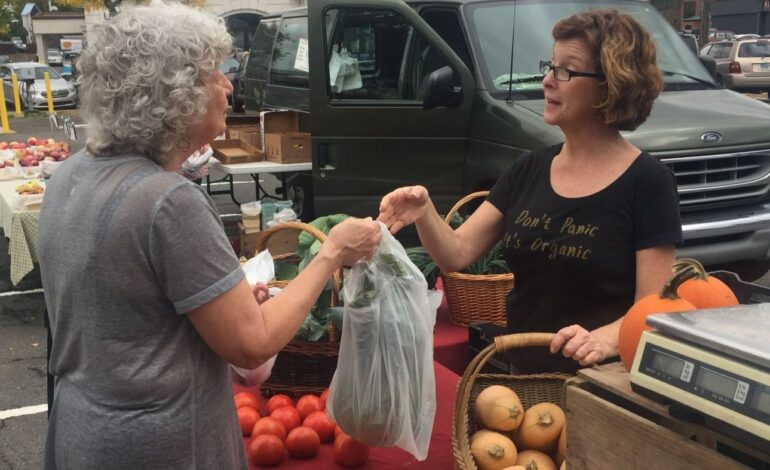 Discover Connecticut’s Winter Farmers Markets: Fresh Finds Await