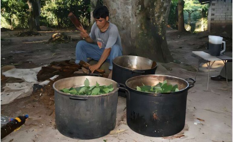 Explore Psychedelic Nature: A Journey Through Diverse Ecosystems