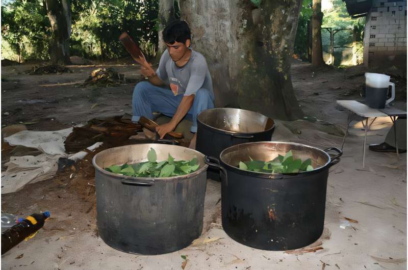 Explore Psychedelic Nature: A Journey Through Diverse Ecosystems