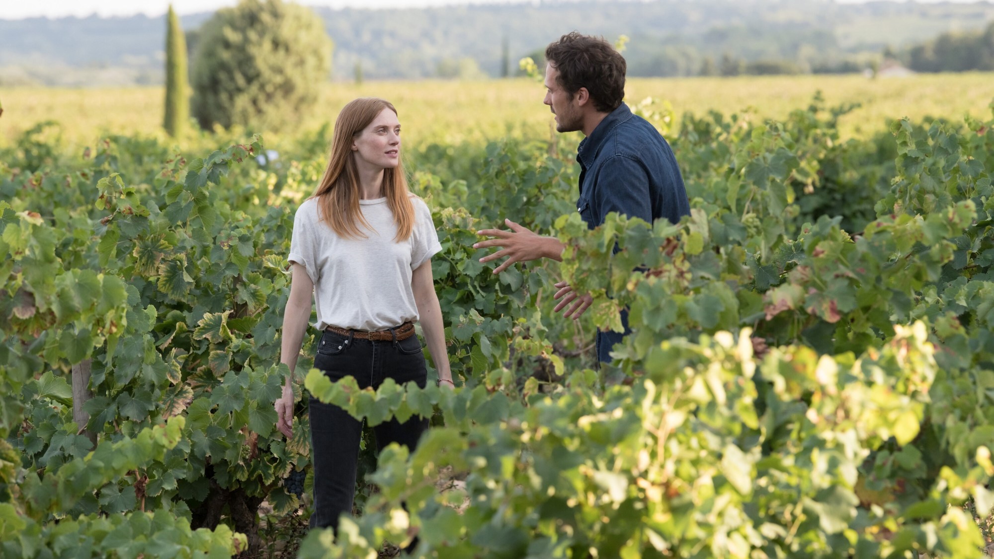 Georgia Aims to Become the Cinematic Heart of the Caucasus