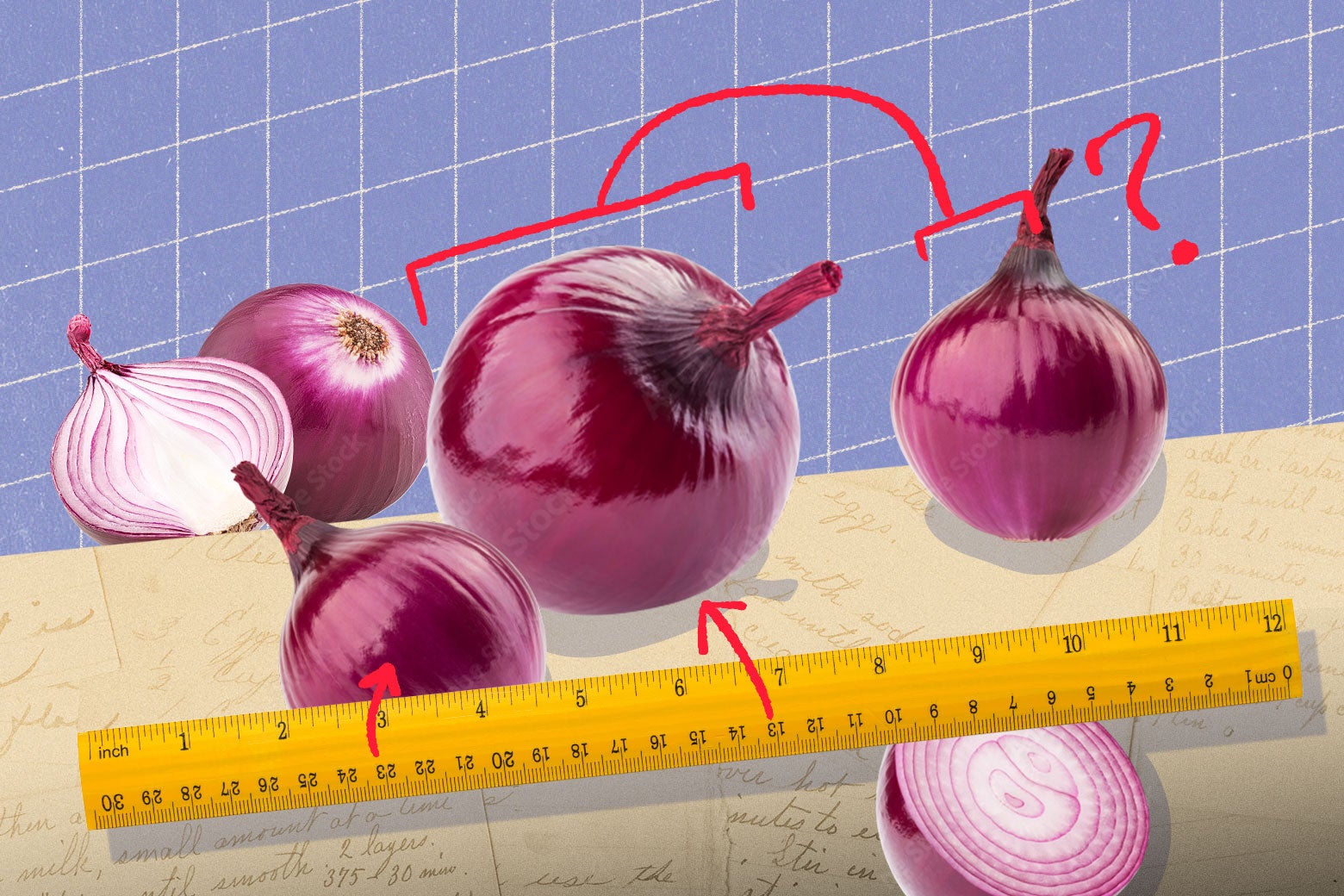 Grocery Store Onions Are Growing Too Large for Recipes