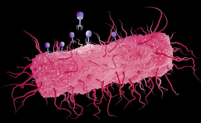 Groundbreaking Experiment Validates Darwin’s Theory of Evolution