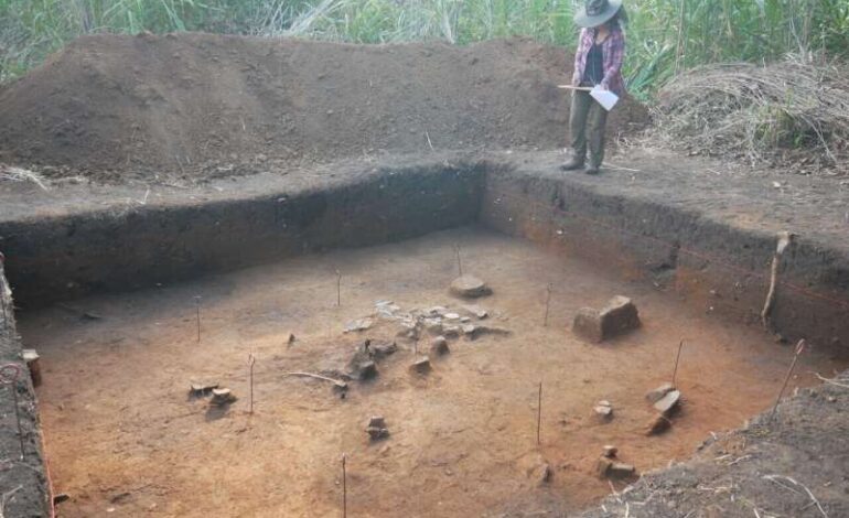 Indigenous Peoples Flourished in Southwestern Amazon for Over 1,000 Years
