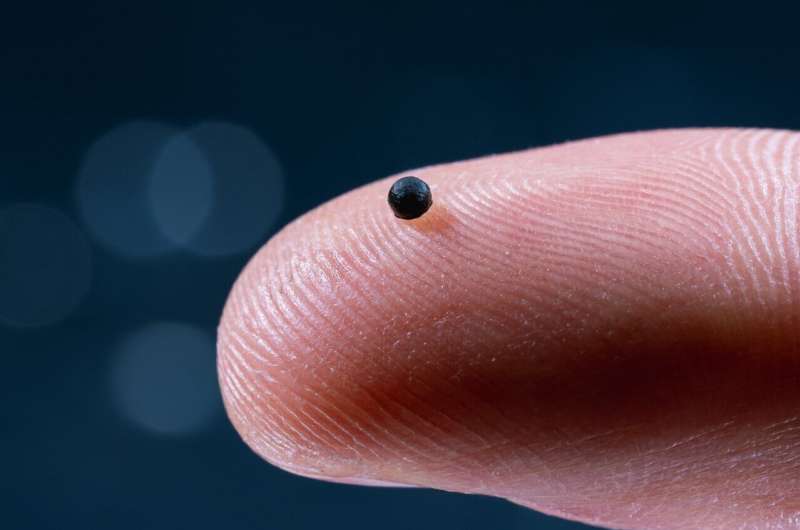 Innovative Magnetic Microrobots Set for Clinical Trials in 2025