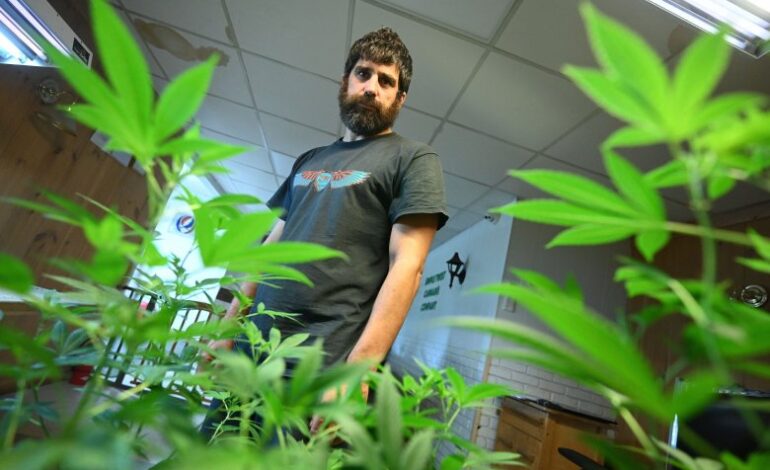 Madison Cannabis Shop Owner Faces New Assault Charges in Court