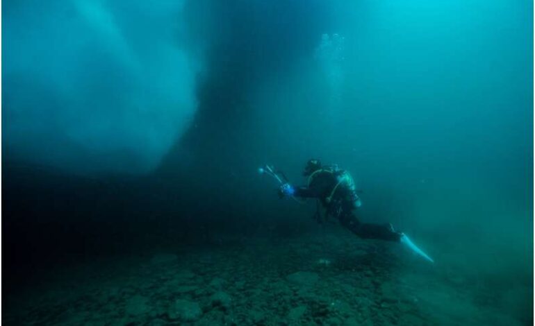 Marine DNA Reveals New Fish Habitats and Gaps in Ocean Mapping