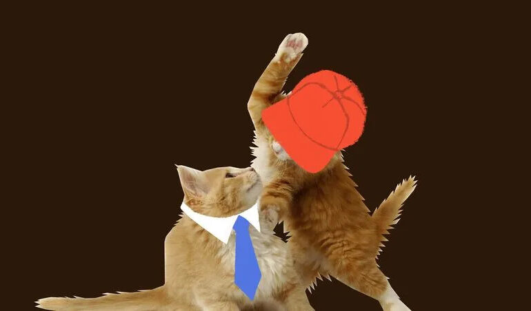 Memes Ignite Political Battle as Shutdown Stalemates in D.C.