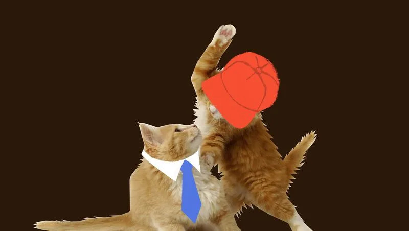 Memes Ignite Political Battle as Shutdown Stalemates in D.C.