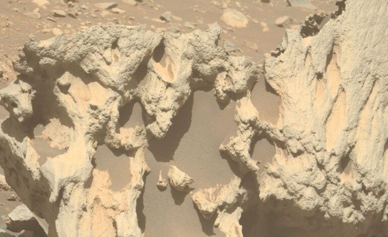 NASA’s Perseverance Rover May Have Discovered First Meteorite