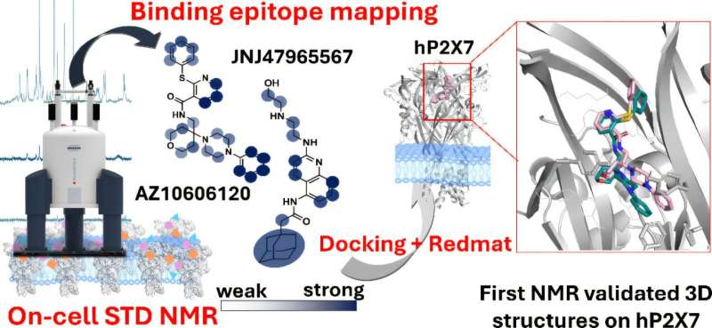 New Technique Transforms Drug Design for Ion Channel-Related Diseases