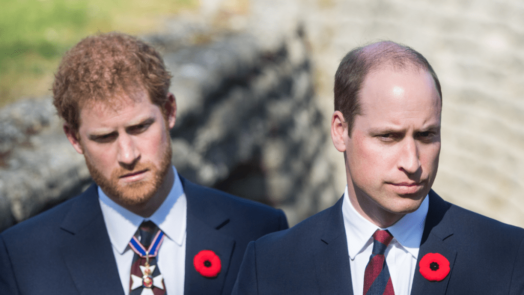 Prince Harry Declares “War” on William with Timed Canada Trip