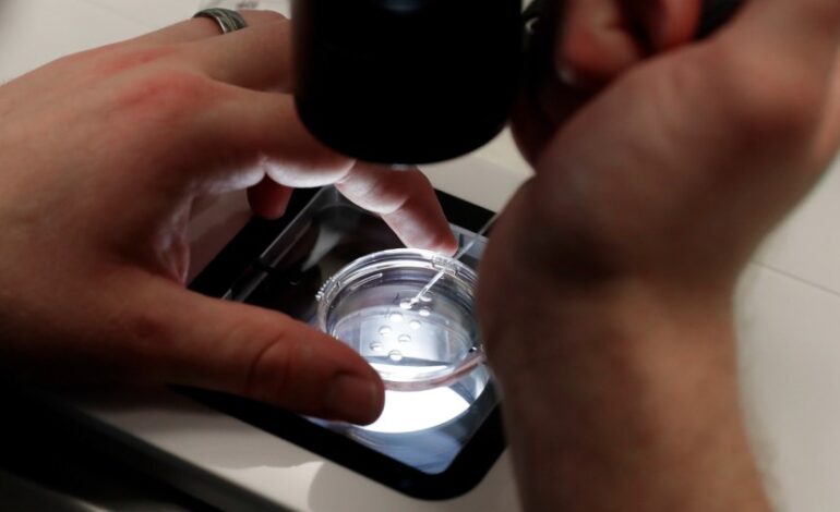 Pro-Life Movement Faces Dilemma Over IVF Acceptance