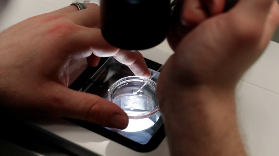 Pro-Life Movement Faces Dilemma Over IVF Acceptance