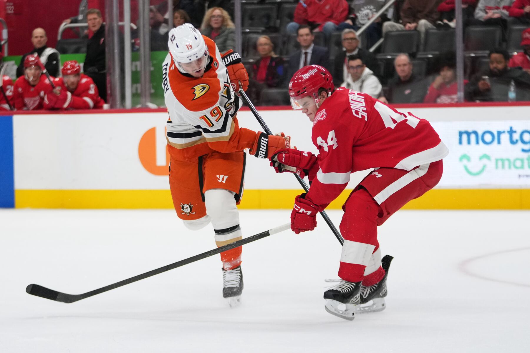 Red Wings’ Axel Sandin-Pellikka Shines in 6-3 Victory Over Ducks