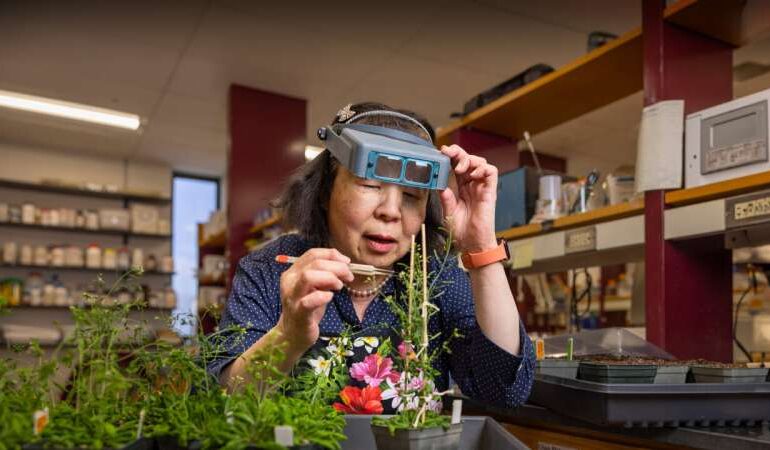 Research Breakthrough Reveals Mechanism for New Crop Species