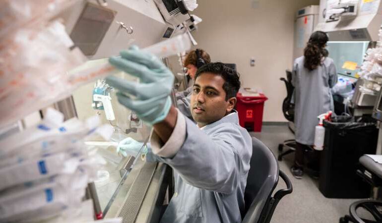 Researchers Uncover Distinct Genome Editing Approaches in Neurons