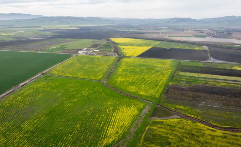 San Benito County Agriculture Surges to $405M in 2024