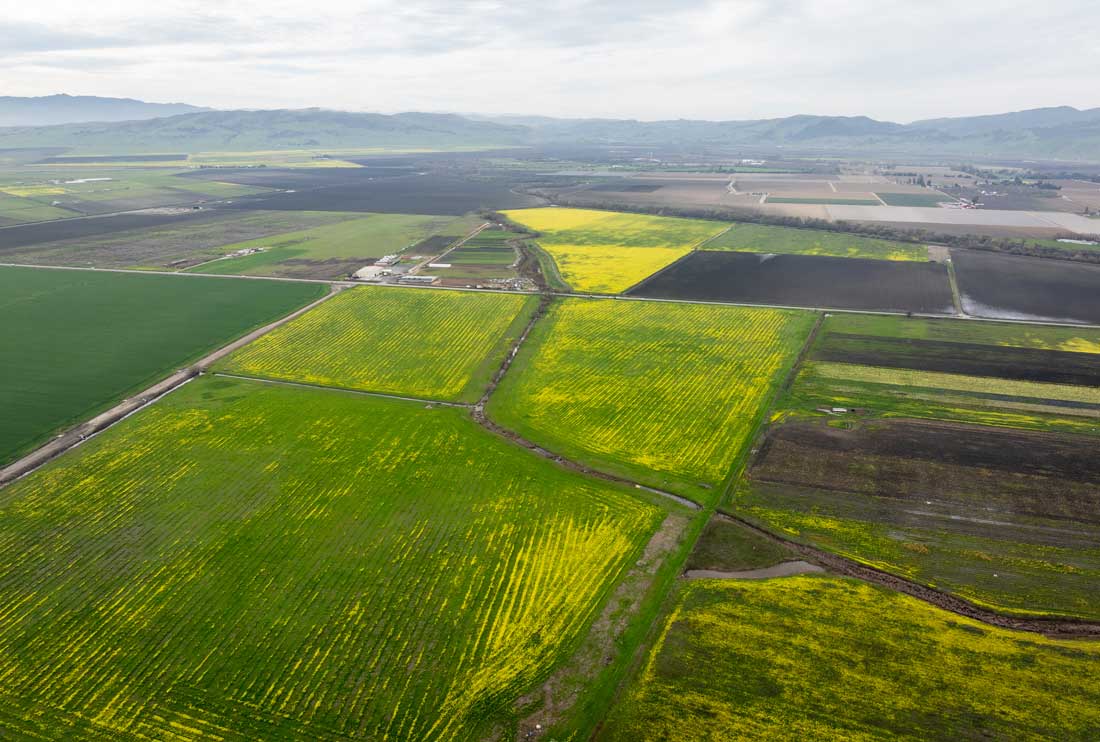 San Benito County Agriculture Surges to $405M in 2024