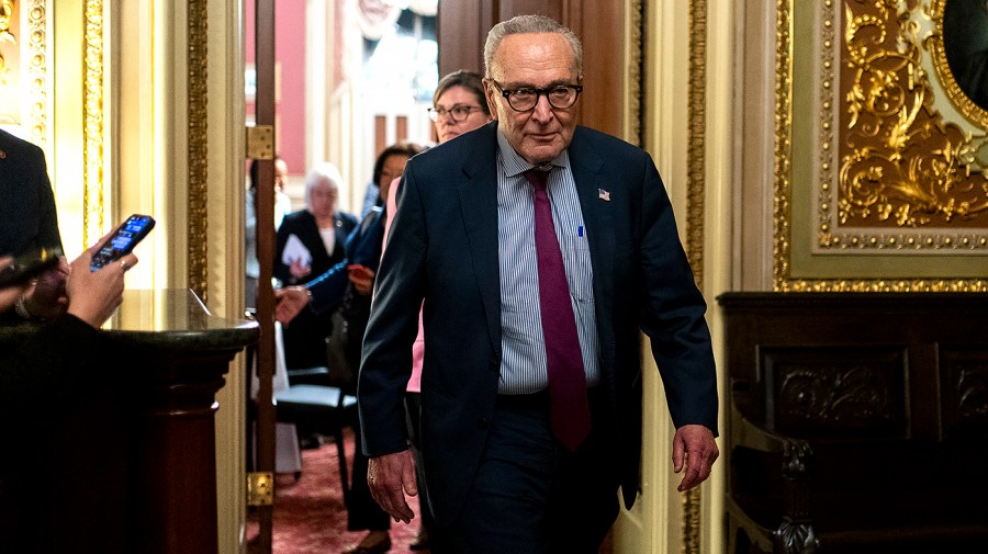 Schumer Urges Senate to Pass Epstein Files Bill Without Delay