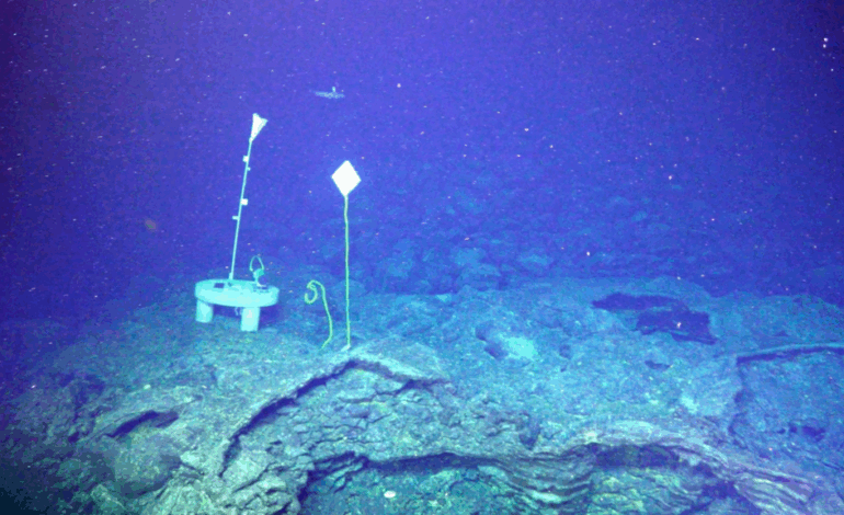 Scientists Confirm Axial Seamount Volcano Eruption Delayed Until 2026