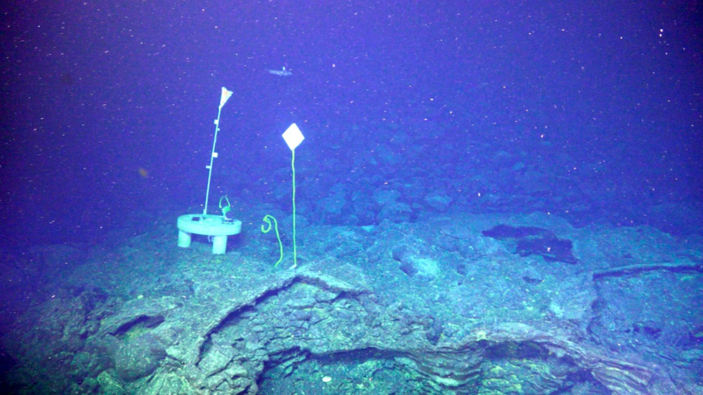 Scientists Confirm Axial Seamount Volcano Eruption Delayed Until 2026