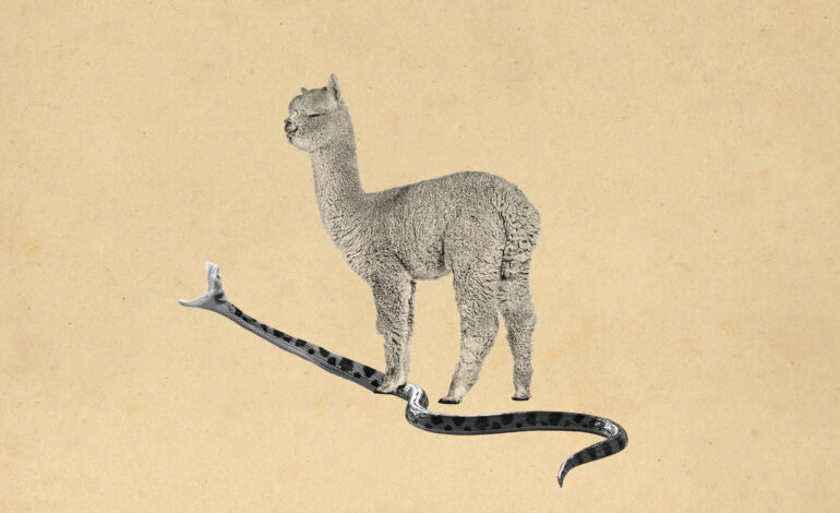 Scientists Create Groundbreaking Antivenom for Snake Bites