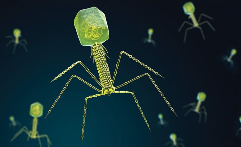 Scientists Harness Jumbo Viruses to Combat Drug-Resistant Bacteria
